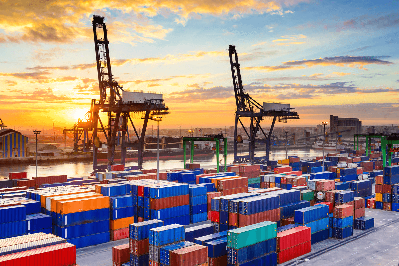 Agile Logistics Networks